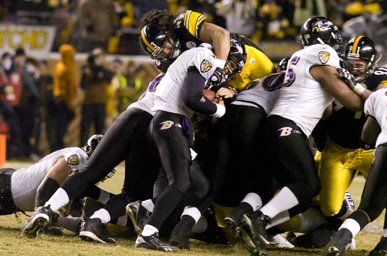 [08_BAL3DH_polamalu_102203.jpg]