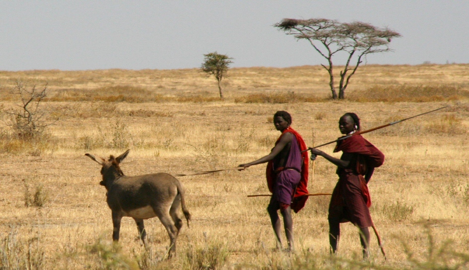 [05+Masai+mara.jpg]