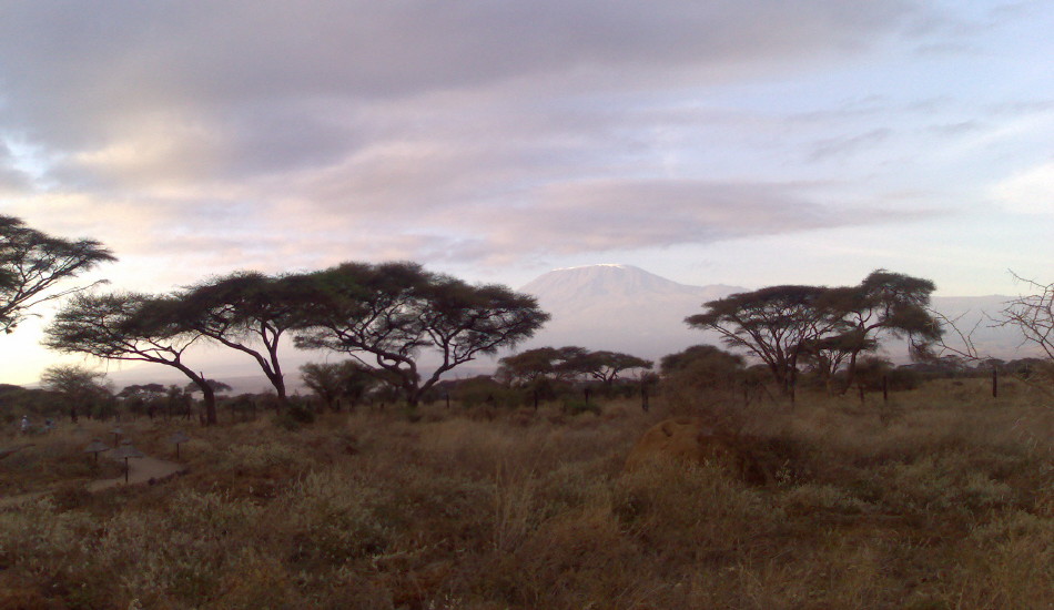 [12+Kilimanjaro.jpg]
