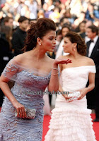 Aishwarya Rai 2010 Cannes Film Festival