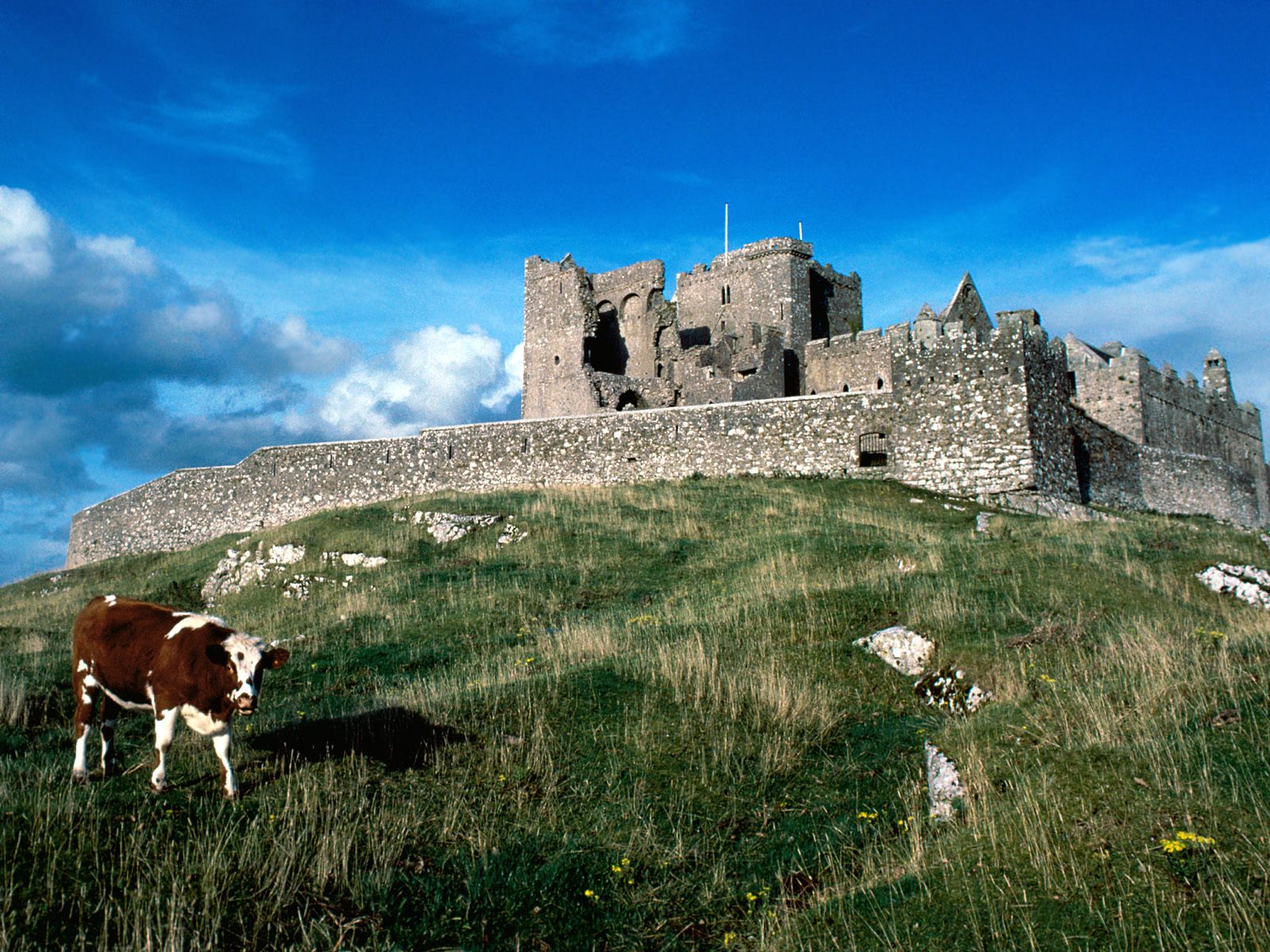 http://4.bp.blogspot.com/_0EZs4bjf09Y/S9qudZGmmMI/AAAAAAAAN9M/x_JRfOOiXwQ/S1600-R/Cashel+Castle,+Ireland.jpg