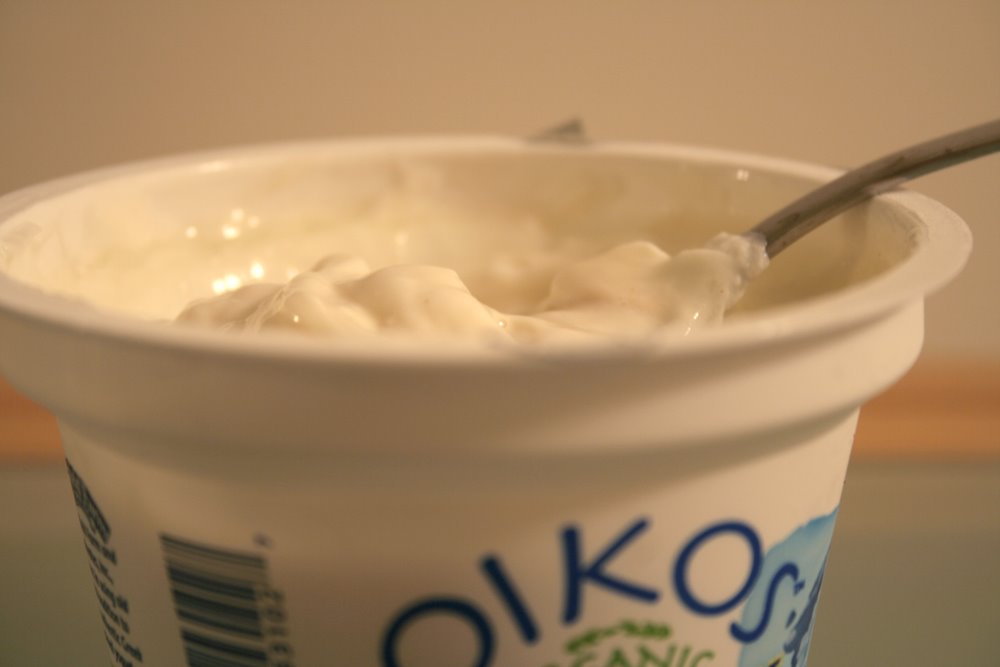 [yogurt2.jpg]