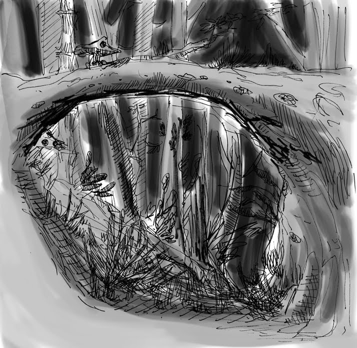 [jungle.jpg]