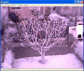 COMO HACER UNA CAMARA INFRAROJA BARATA Arbol2-Infrarrojo