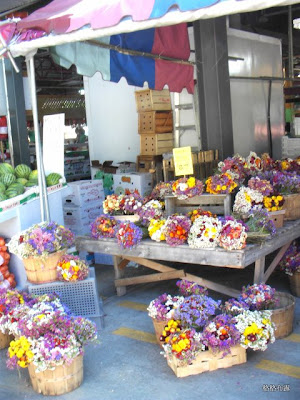 Jean Talon 小義大利區的農夫市場,加東蒙特婁。