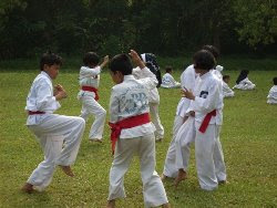 Teknik Silat