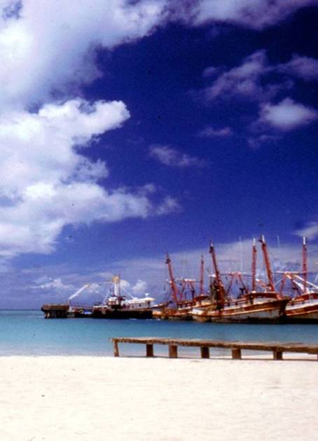 Pinoleras Wonderfull