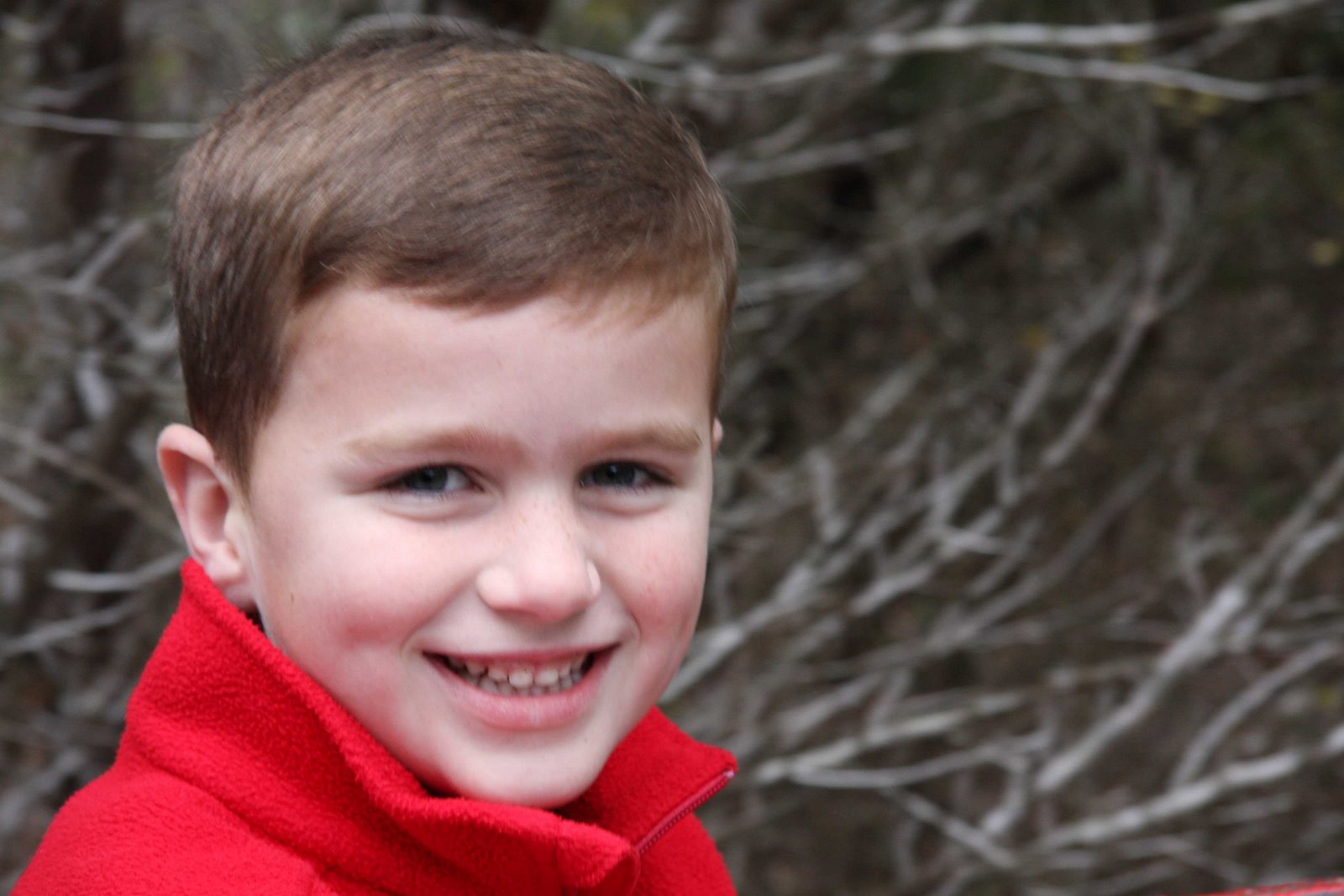 [tree+farm_will.jpg]