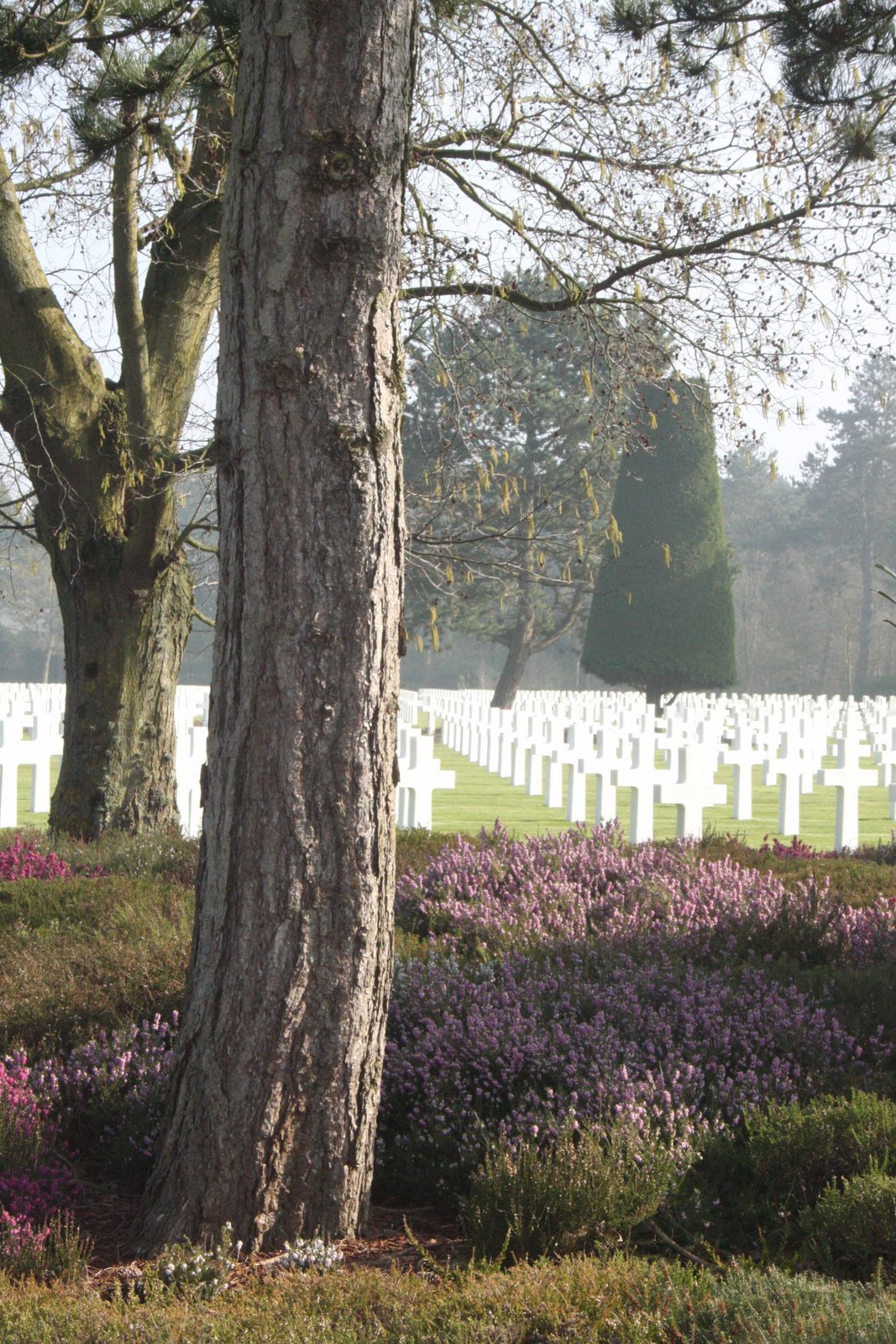 [normandy_graves.jpg]