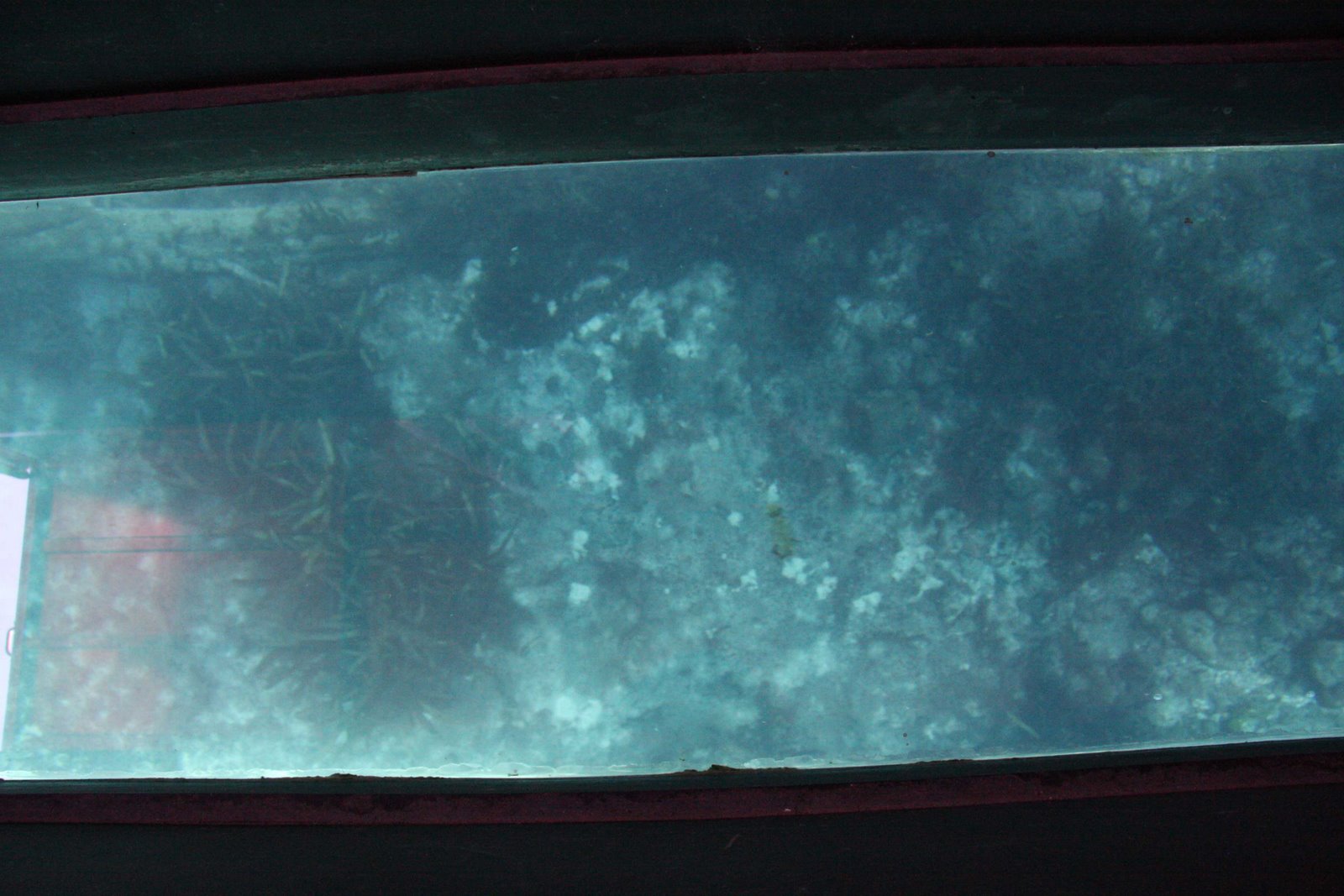 [ft_aquarena_boat.jpg]