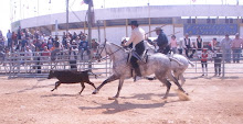 Boas Varas de 2009