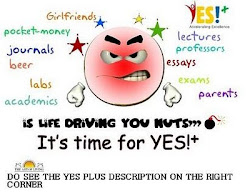 reason to do YES!+