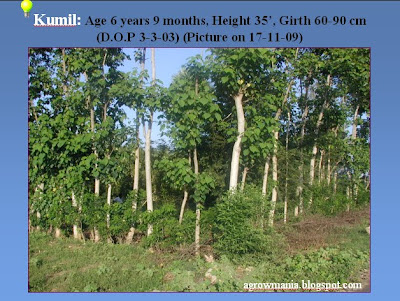 Importance of plantation image