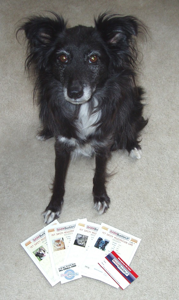 [JohannBarkBuckleUp.JPG]