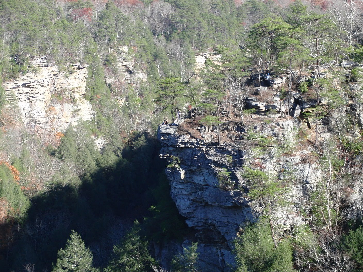 The Days of Johann, an agility dog! Our trip to Fall Creek Falls State