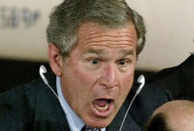 [Bush_pod.bmp]