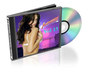 CD Abelbeetle Vol. 13