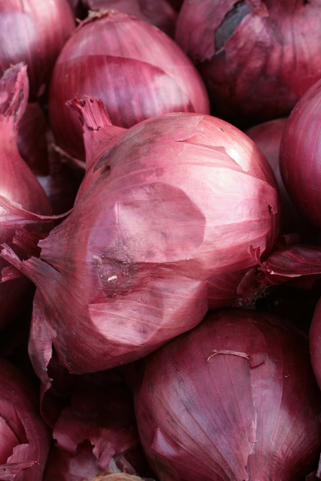 [red+onions.jpg]