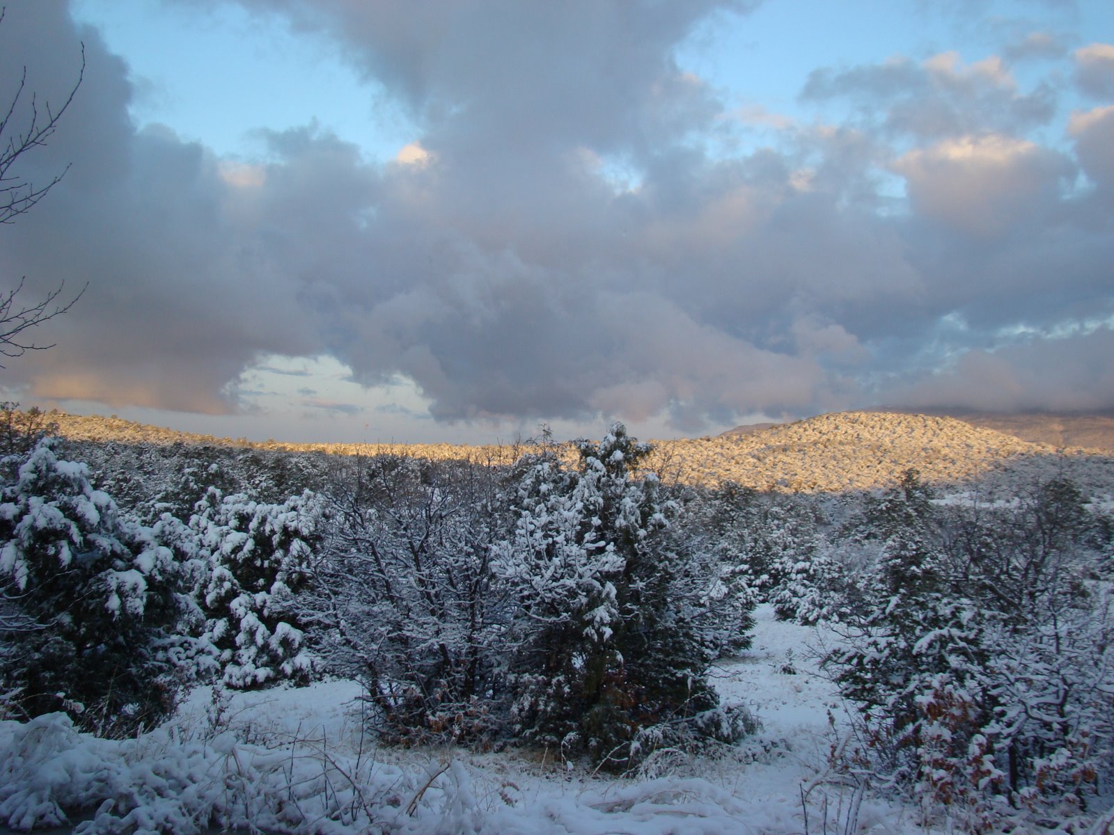 [DSC03373.JPG]