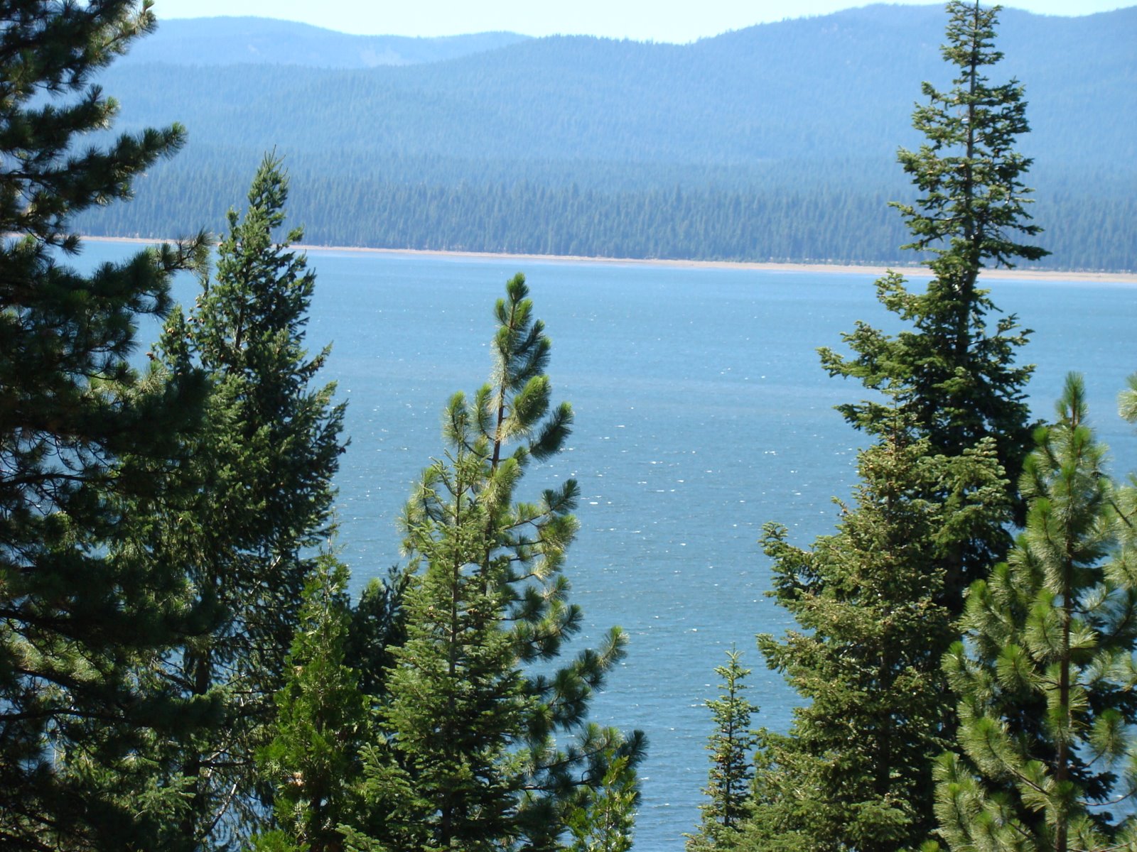 [DSC00412.JPG]