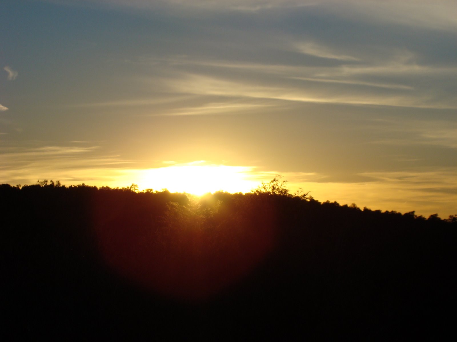 [DSC01169.JPG]