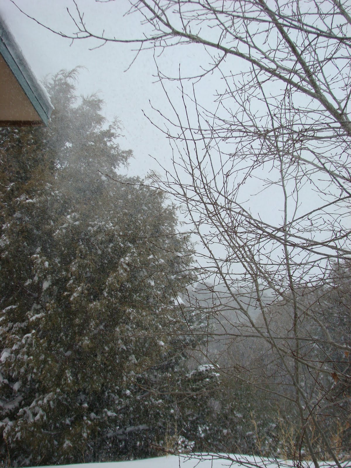 [DSC08097.JPG]