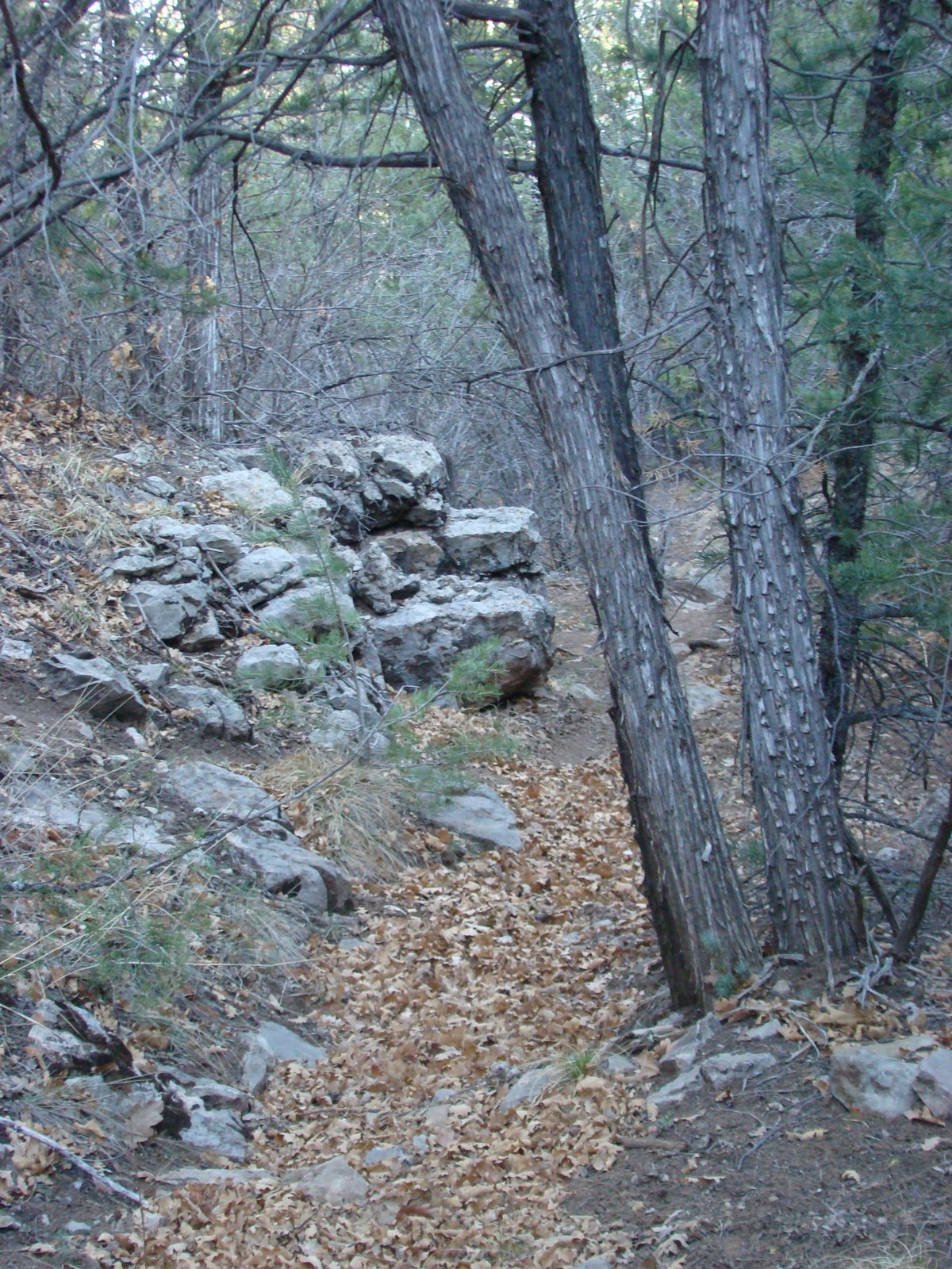 [DSC03478.JPG]