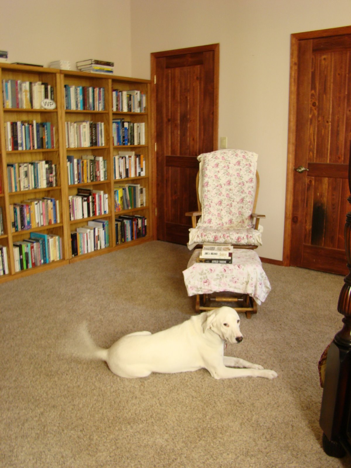 [DSC06904.JPG]