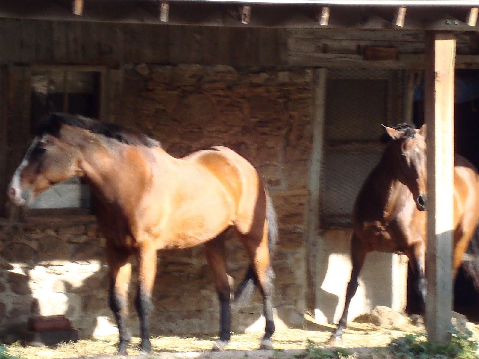 [DSC01489.JPG]