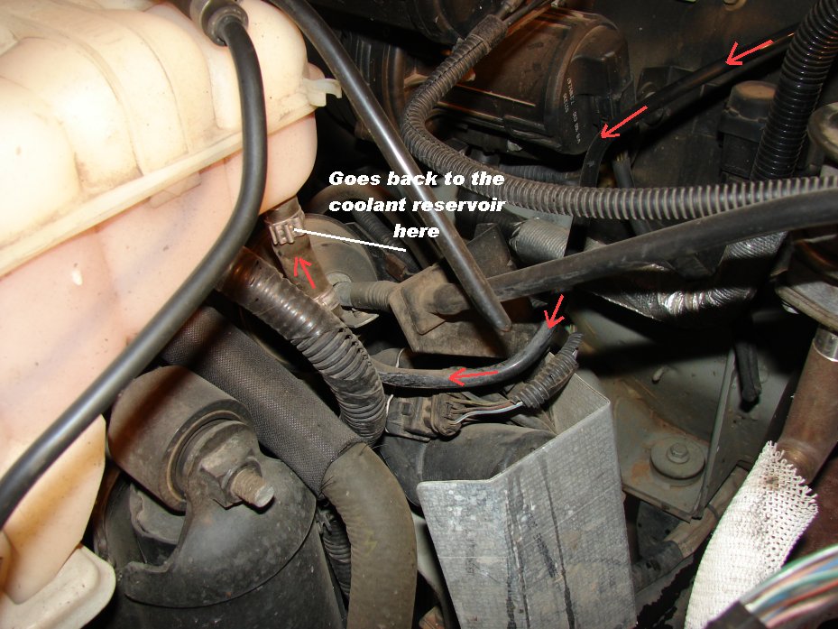 [preheaterhose2.jpg]