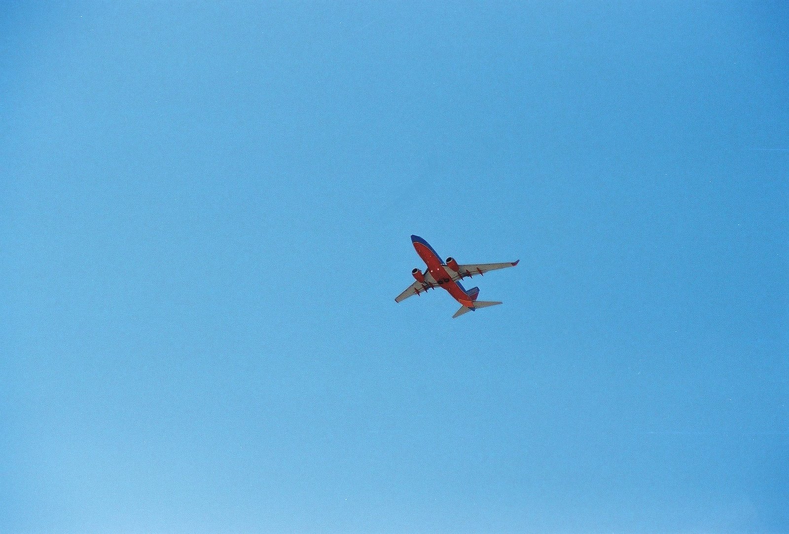 [SW003phoenix.Jpg]