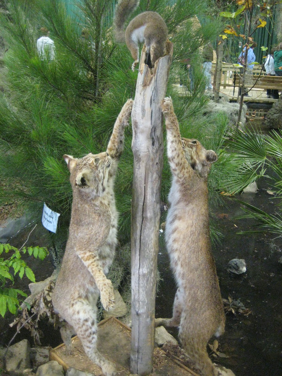 [IMG_6069.JPG]