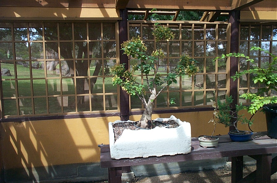 [DCP_6452.JPG]
