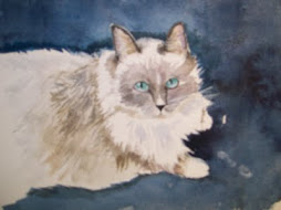 blue-eyed cat