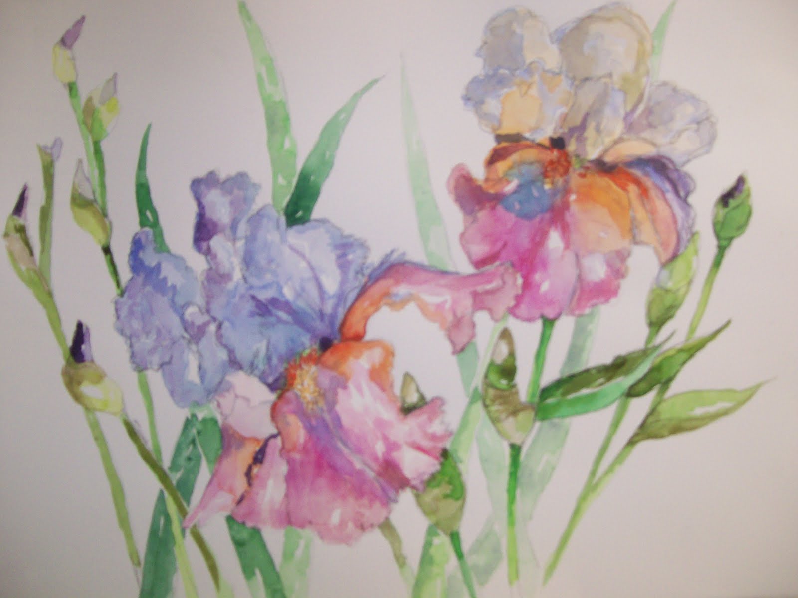 Sock Flowers