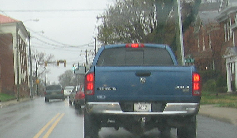 [Mouse-wrong-side-of-road.jpg]