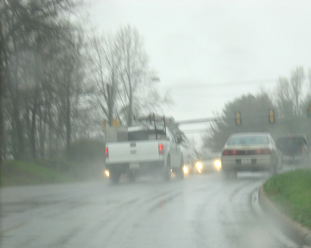 [Herb-in-the-rain.jpg]