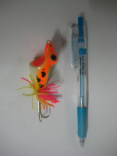 My fishing lures.