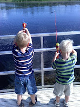 Trying to Catch the Big One