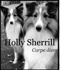 Holly Sherrill
