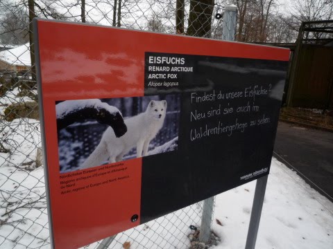 [P1120278.JPG]