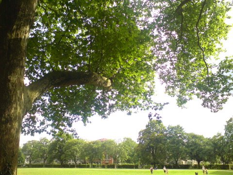 [DSC02751.JPG]