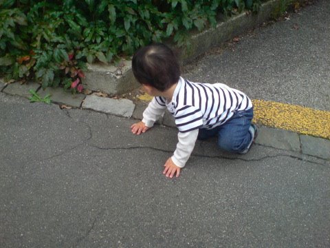 [DSC02768.JPG]
