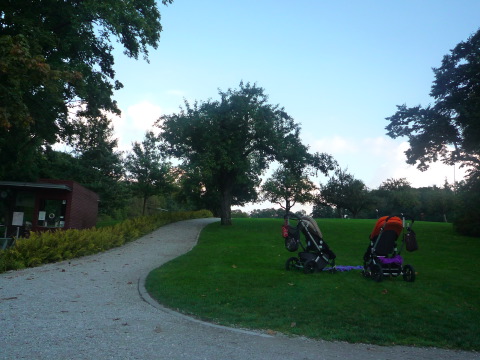 [P1030273.JPG]
