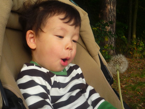 [P1030605.JPG]