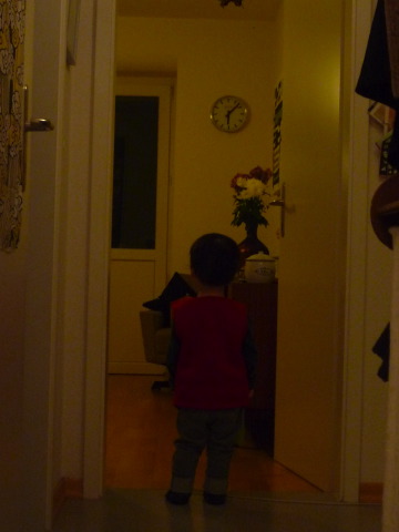 [P1030831.JPG]