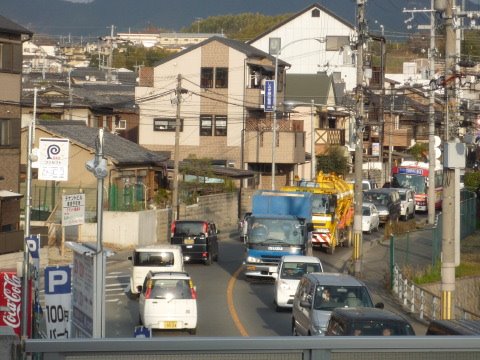 [P1050842.JPG]