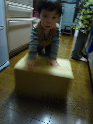 [P1060397.JPG]