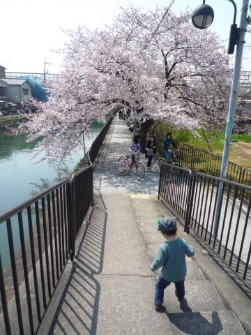 [P1060486.JPG]