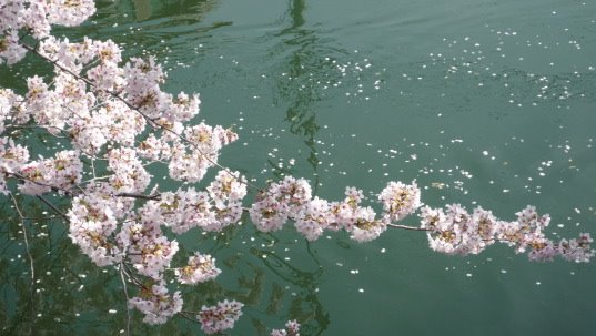 [P1060555.JPG]